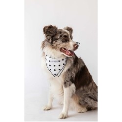 Classic Dots  - Buddy Dog Bandana - S