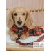 Deck the Paws - Adjustable Harness  - Small