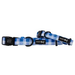 The Wizard of Paws - Sassy Woof Dog Collars - Small
