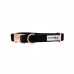 I Do, Too (Black) - Sassy Woof Dog Collars - Small