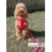 Neon Pink - Adjustable Harness - Small Neon Pink - Adjustable Harness - Small