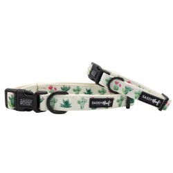 Sass on Point - Sassy Woof Dog Collars - Small