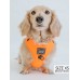 Neon Orange - Adjustable Harness - Large Neon Orange - Adjustable Harness - Large