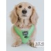 Neon Green - Adjustable Harness  - Medium