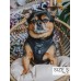 Baby Got Black - Adjustable Harness  - XXSmall
