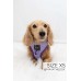Aurora - Adjustable Harness  - XSmall