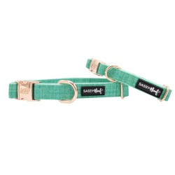 Teal - Collar  - Small