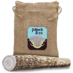 Whole Antler Chew - Small Whole Antler Chew - Small