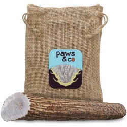 Whole Antler Chew - Large Whole Antler Chew - Large