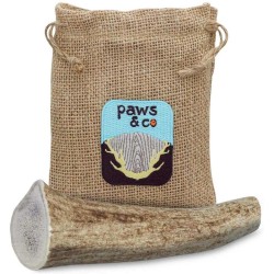 Whole Antler Chew - XLarge Whole Antler Chew - XLarge