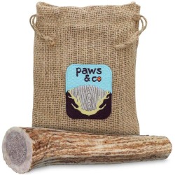 Whole Antler Chew - Medium Whole Antler Chew - Medium