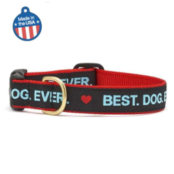 Best Dog Ever - Best Dog Ever Collar or Leash - XL