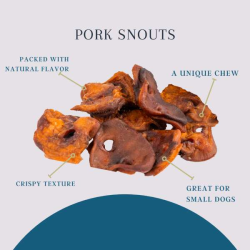Platinum Pet Treats - Pork Snouts (Pack of 10) Platinum Pet Treats - Pork Snouts (Pack of 10)