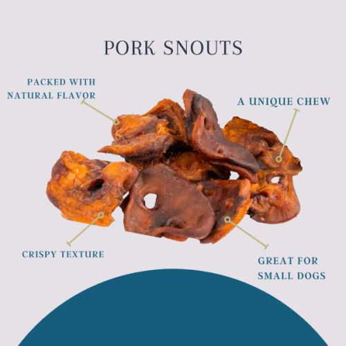 Platinum Pet Treats - Pork Snouts (Pack of 10) Platinum Pet Treats - Pork Snouts (Pack of 10)