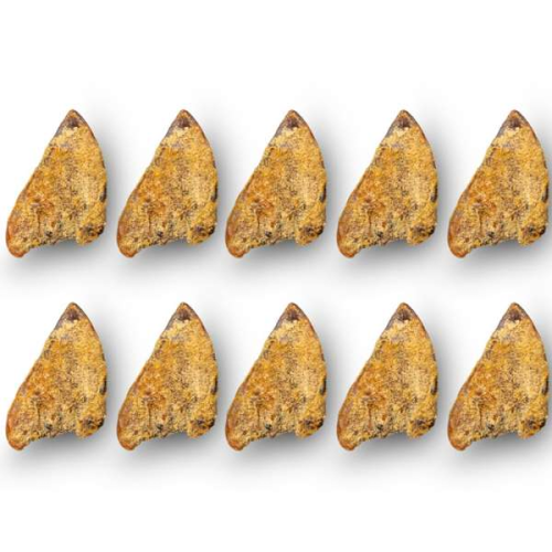 Platinum Pet Treats - Super Pig Ears (Pack of 10) - 10 Pack Platinum Pet Treats - Super Pig Ears (Pack of 10) - 10 Pack