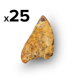 Platinum Pet Treats - Super Pig Ears (Pack of 25) - 25 Pack Platinum Pet Treats - Super Pig Ears (Pack of 25) - 25 Pack