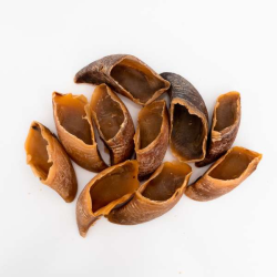 Platinum Pet Treats - Beef Hooves (Pack of 10) - 10 Pack Platinum Pet Treats - Beef Hooves (Pack of 10) - 10 Pack