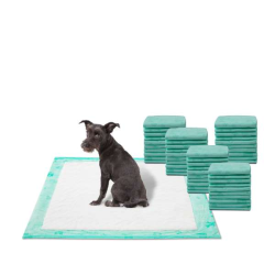 WizSmart All Day Dry Dog Pads Super 50 Count 3 Pack - 50 Count