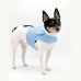 DCNY Periwinkle Harness Vest