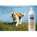 Tangerine - BarkLogic Sensitive Skin 2 in 1 Conditioning Shampoo