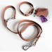 Brown Dog Leash