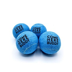 Set of 4 Come Here Buddy Tennis Balls in Sky Blue Set of 4 Come Here Buddy Tennis Balls in Sky Blue