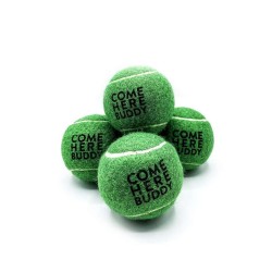 Set of 4 Come Here Buddy Tennis Balls in Green Set of 4 Come Here Buddy Tennis Balls in Green