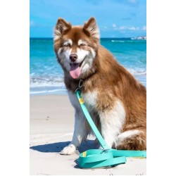 Aqua / Yellow - Island Vibes Waterproof Dog Leash