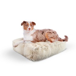 Blondie - Rectangle Bed MD - Blondie - MD - 32" x 36"