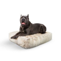 Blondie - Rectangle Bed  XL - Blondie - XL - 56" x 41"