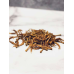 USA Dehydrated Quail Feet - 3 oz